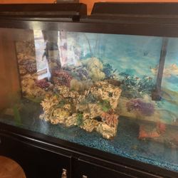Free 55 Gallon Fish Tank And Stand All Photo 