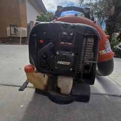 Echo Backpack Leaf Blower 