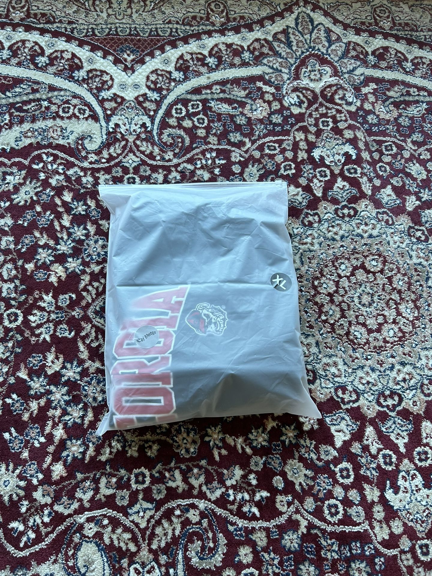 Champion - Georgia Bulldog Hoodie