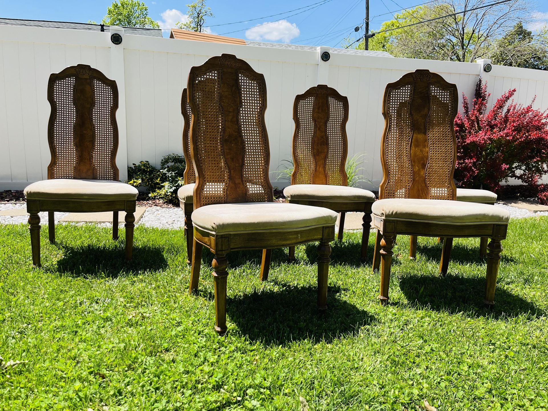 Set of 6 BERNHARDT Italian Provincial Style DOUBLE Cane Back Dining Side Chairs- velvet cushion