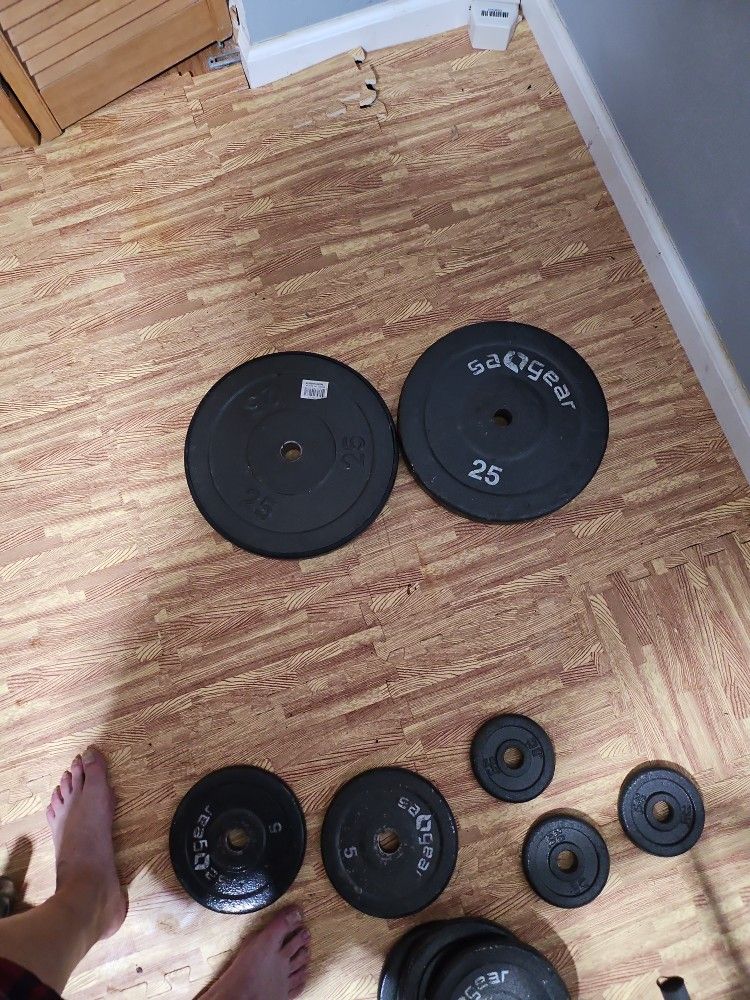 TWO 25lbs  WEIGHTS PLATES