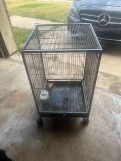Birdcage