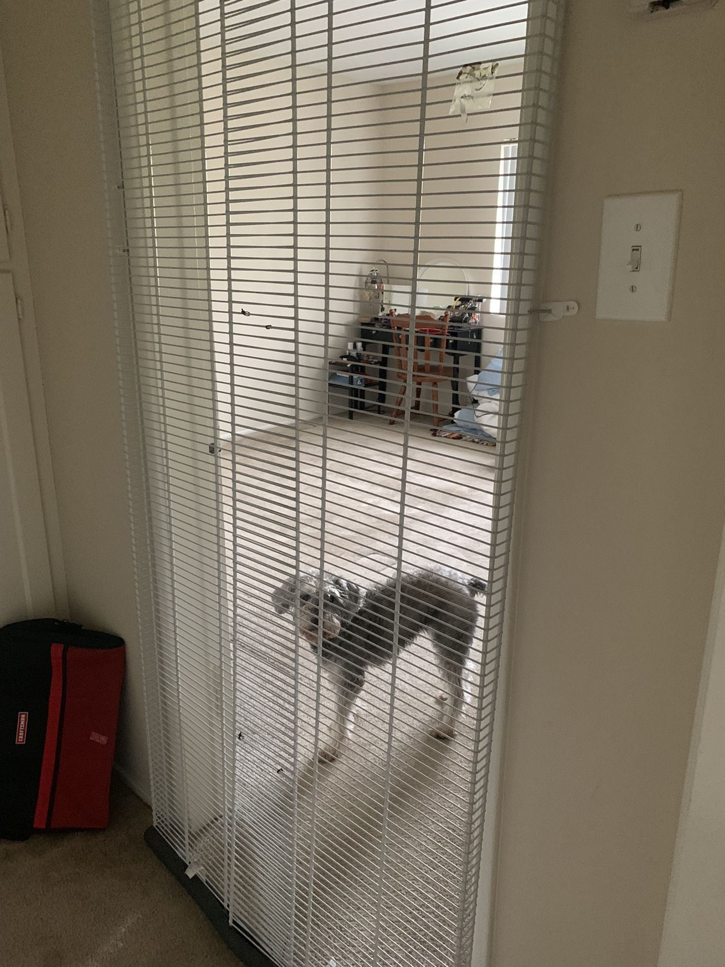 DIY Cat Gate / Pet Gate - OBO