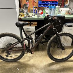 Mountain Bike Trek Large 2020