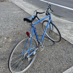 Vintage Schwinn Early 70’s Traveler III bike