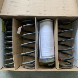 Dodge Charger Stock Springs