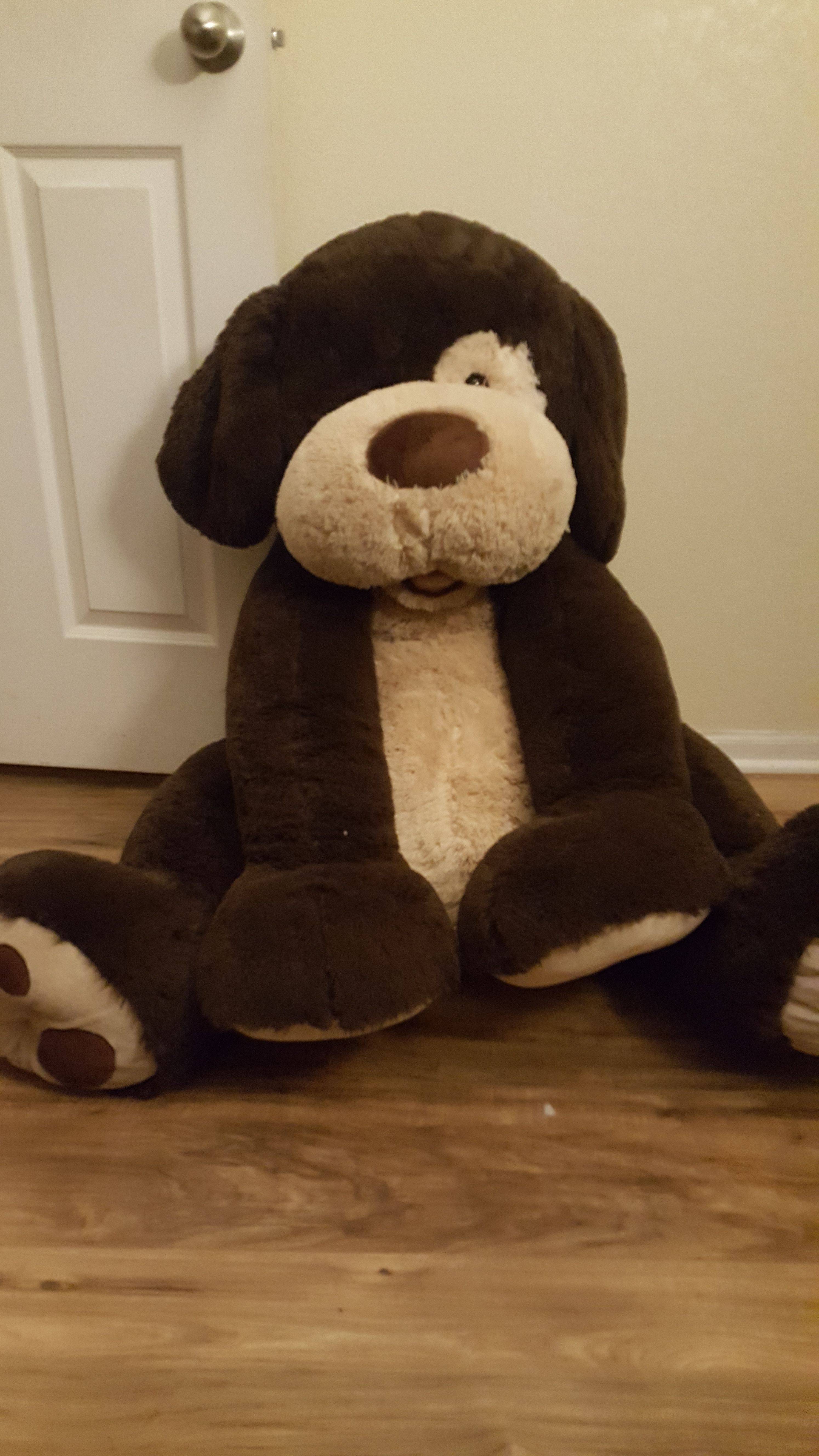 Big teddy bear