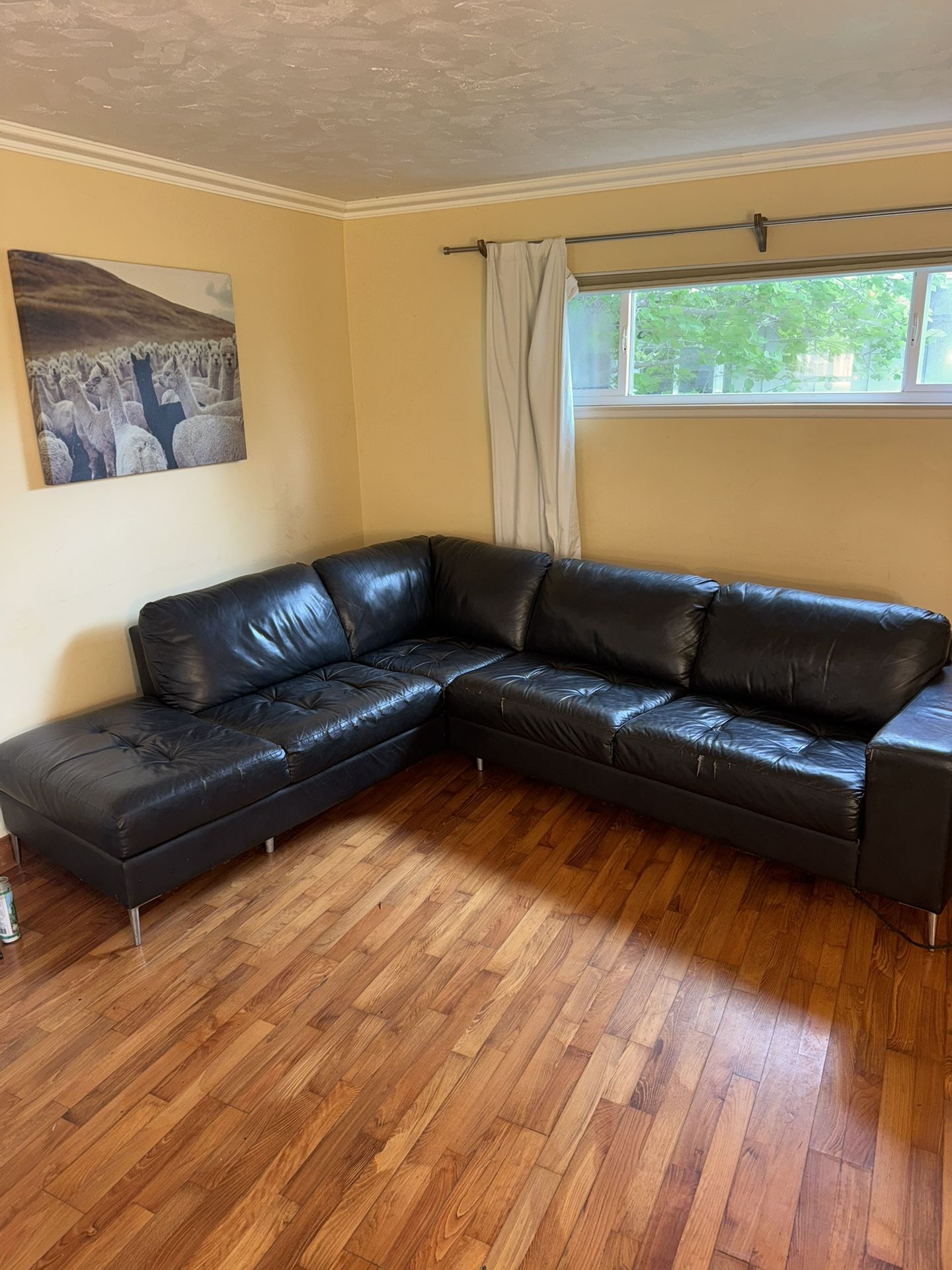 Black Leather Couch