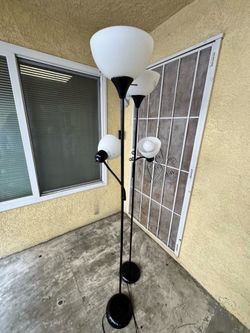 Double  bulb floor Lamps