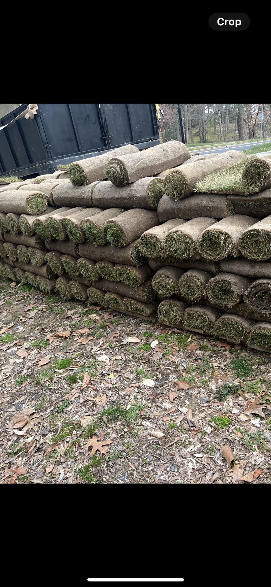nice fresh sod daily cut
