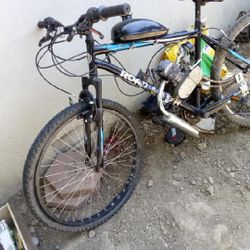 Gas Motorized Bike
