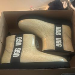 Uggs