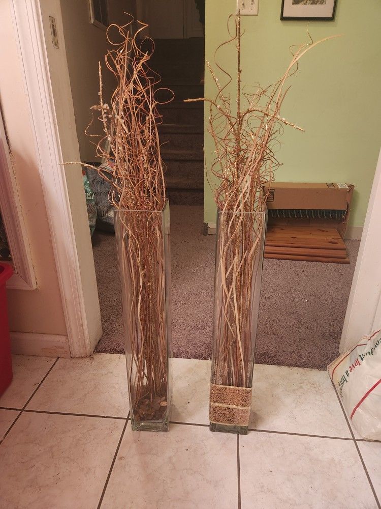 2 24 Inch Tall Glass Vases