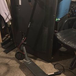 HiBoy, Electric Scooter