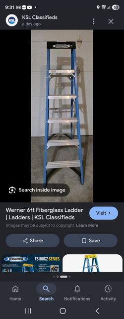 Werner 6 ft. Fiberglass Step Ladder Type I 250 lb. capacity