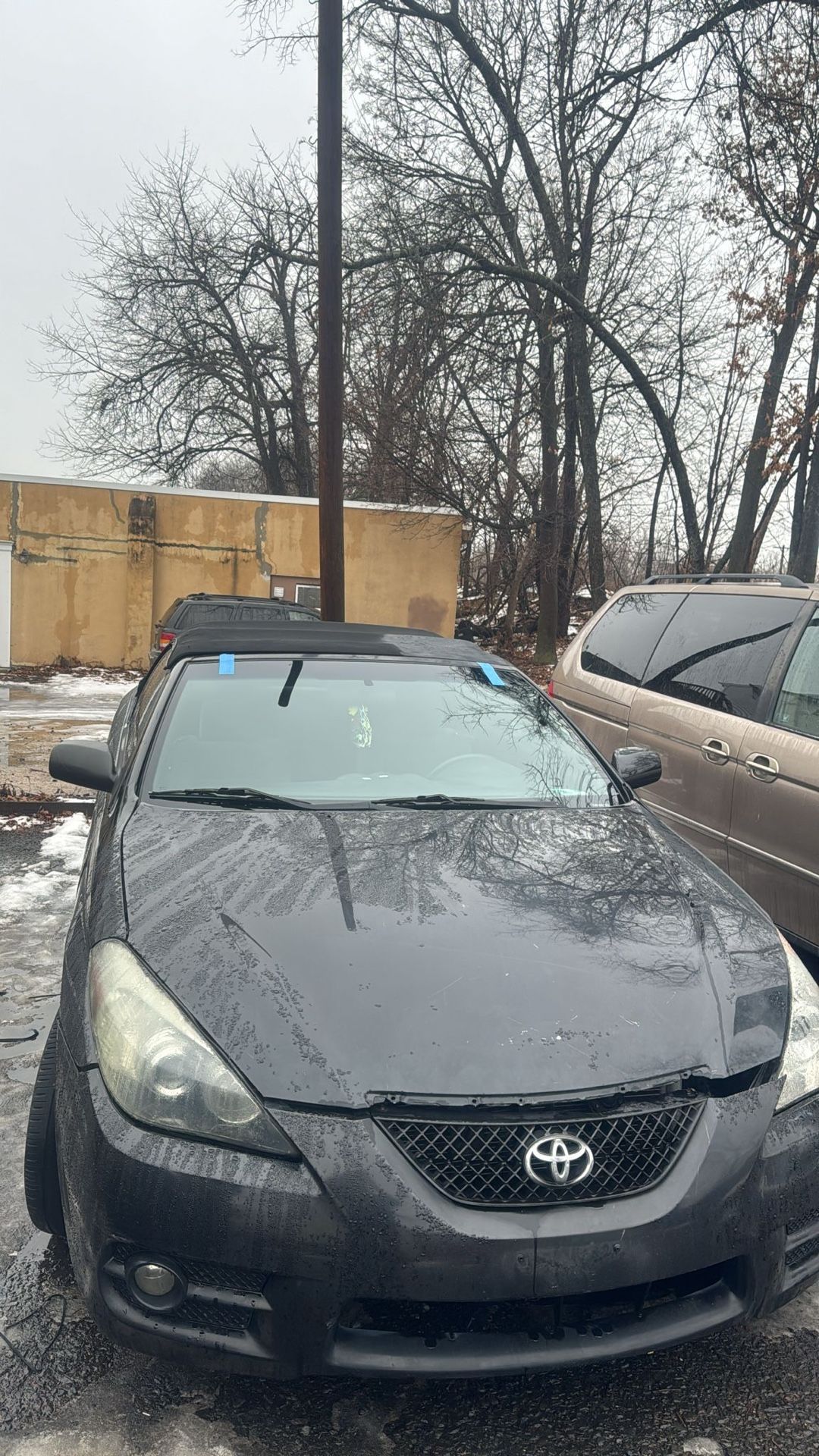 Windshield 