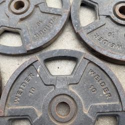 Weighted Plates 10 Lbs 