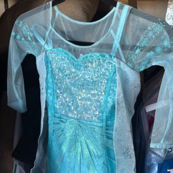 Disney Elsa Dress From bibbidi Bobbidi boutique 