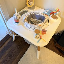 Skip hop Activity Center - Rarely Used