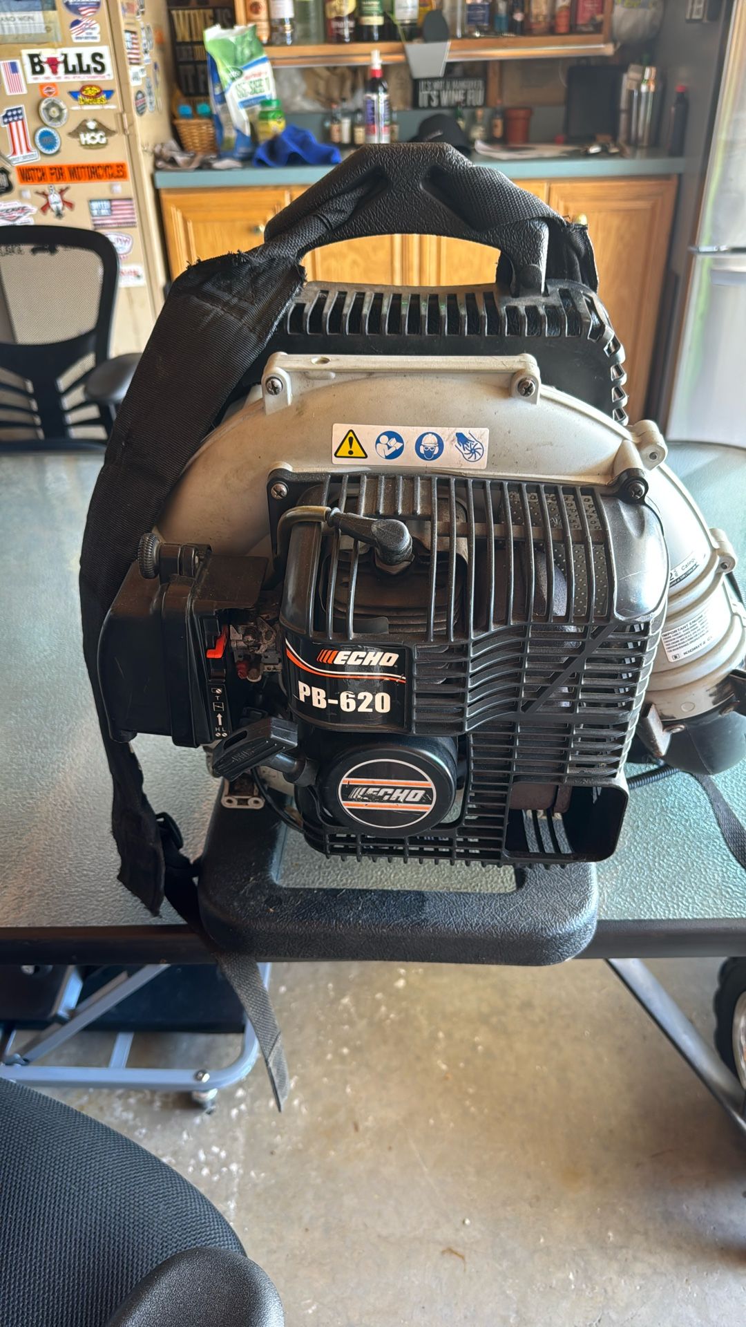 Echo PB – 620 Backpack Leaf Blower