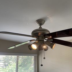 Ceiling Fan
