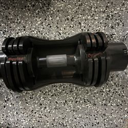 Pair of Adjustable Weights