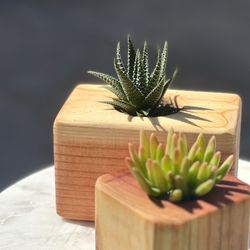 HANDMADE SUCCULENT PLANTERS 