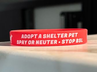 Adopt A Shelter Pet Animal Welfare Red and White Silicone Wristband Bracelet
