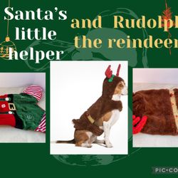 Santa’s helper and Rudolph pet costumes