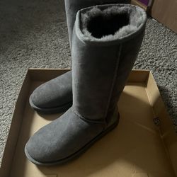 Tall Grey Uggs