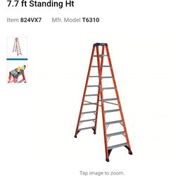 10Ft. WERNER LADDER (Fiberglass)