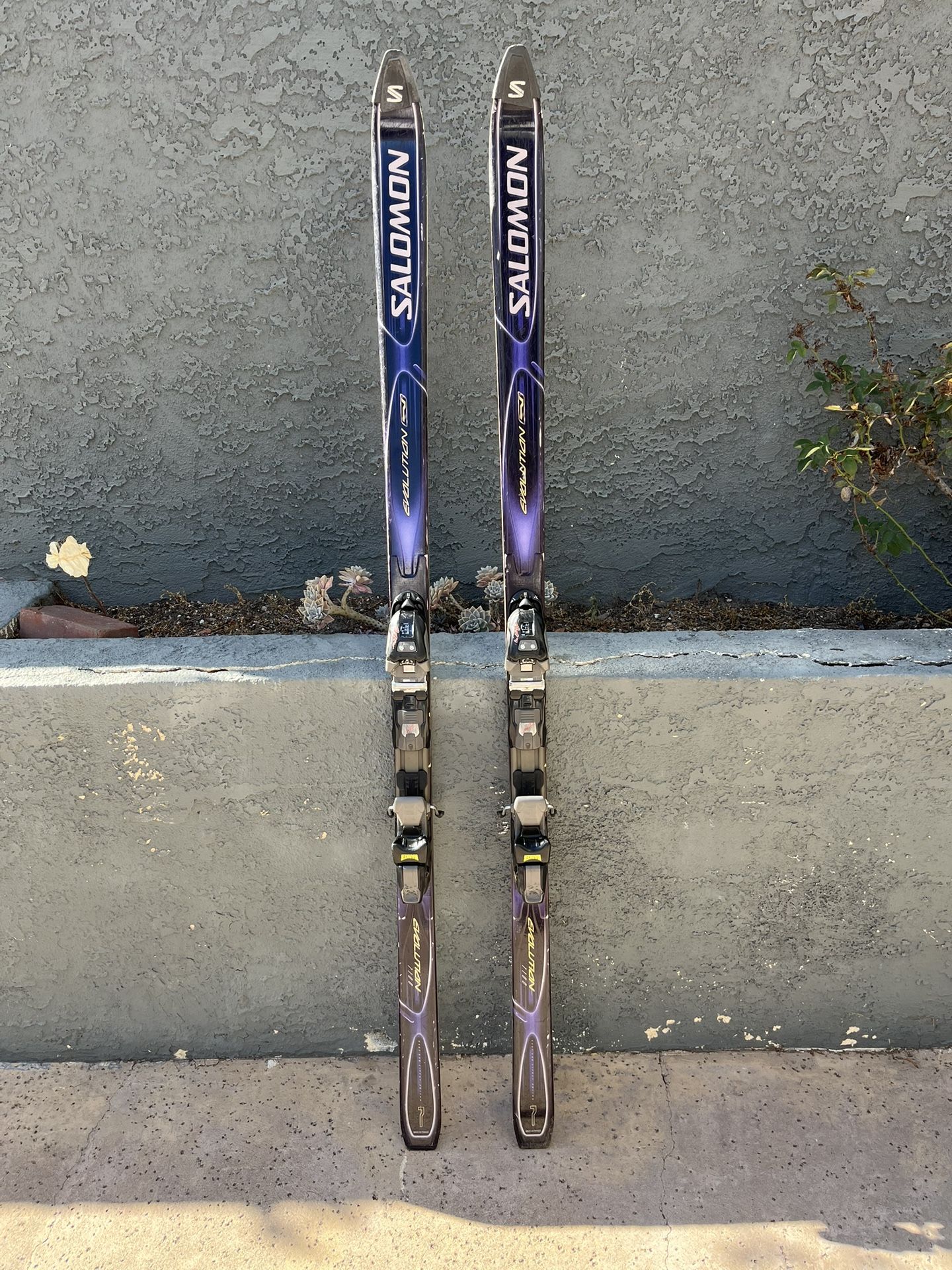 Salomon Skis