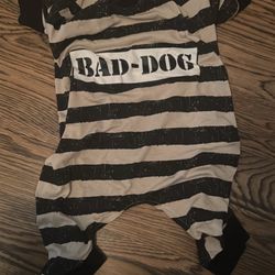 Small Dog Prison Costume 