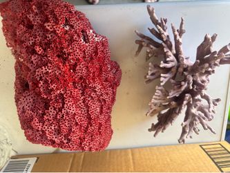 Giant Red Corals plus free coral