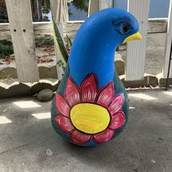 Bird  Pot With Snake Plant.