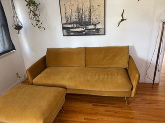 Velvet couch