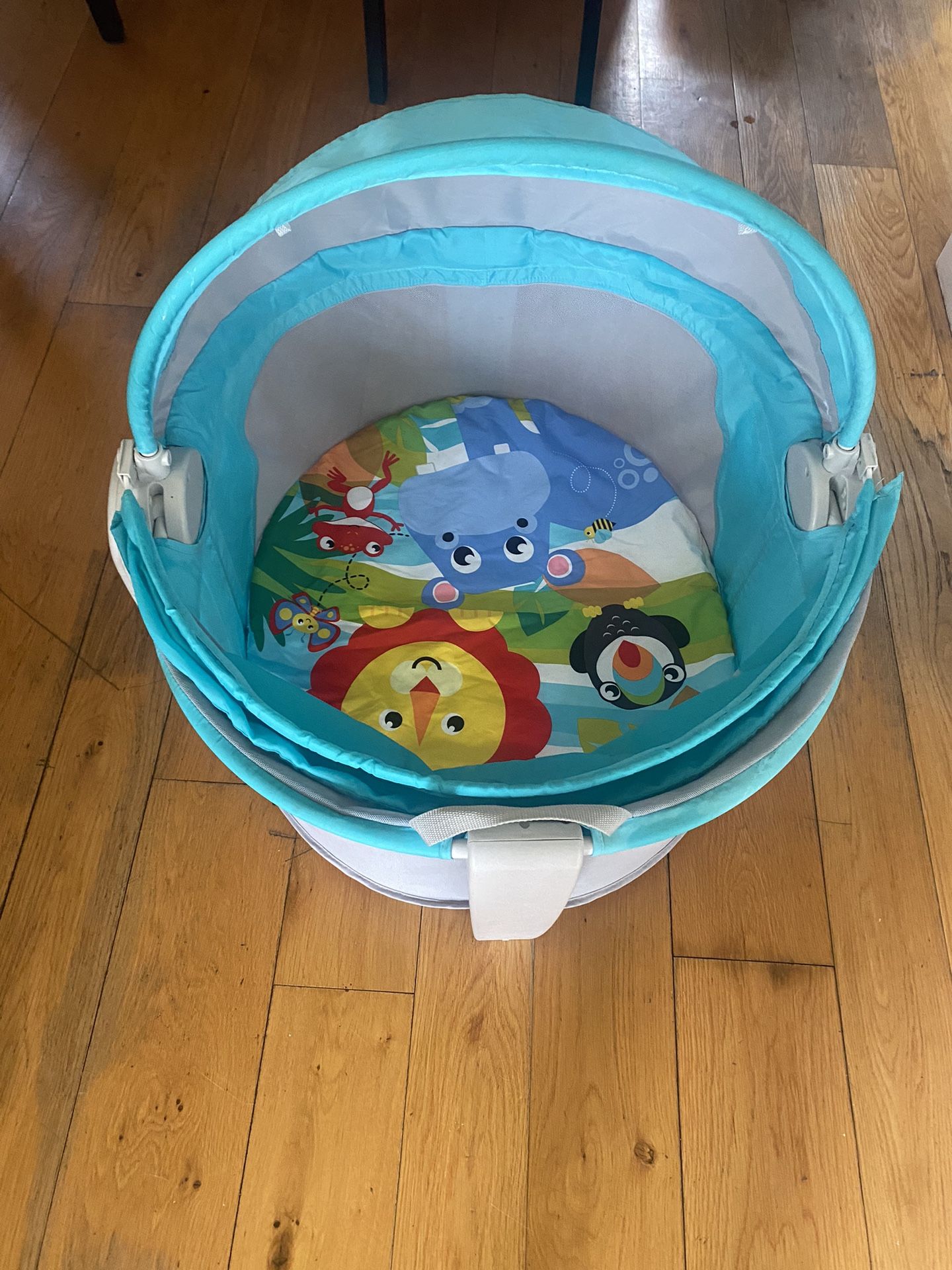 Fisher Price Portable Dome