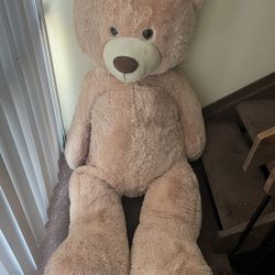 Big Teddy Bear 