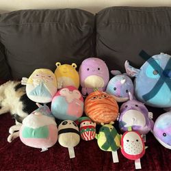 Squishmallows Lot