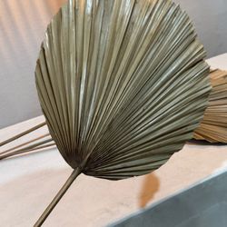 Palm Fan Decor — Dried Natural — 48” — Set of 4 — $80 Firm