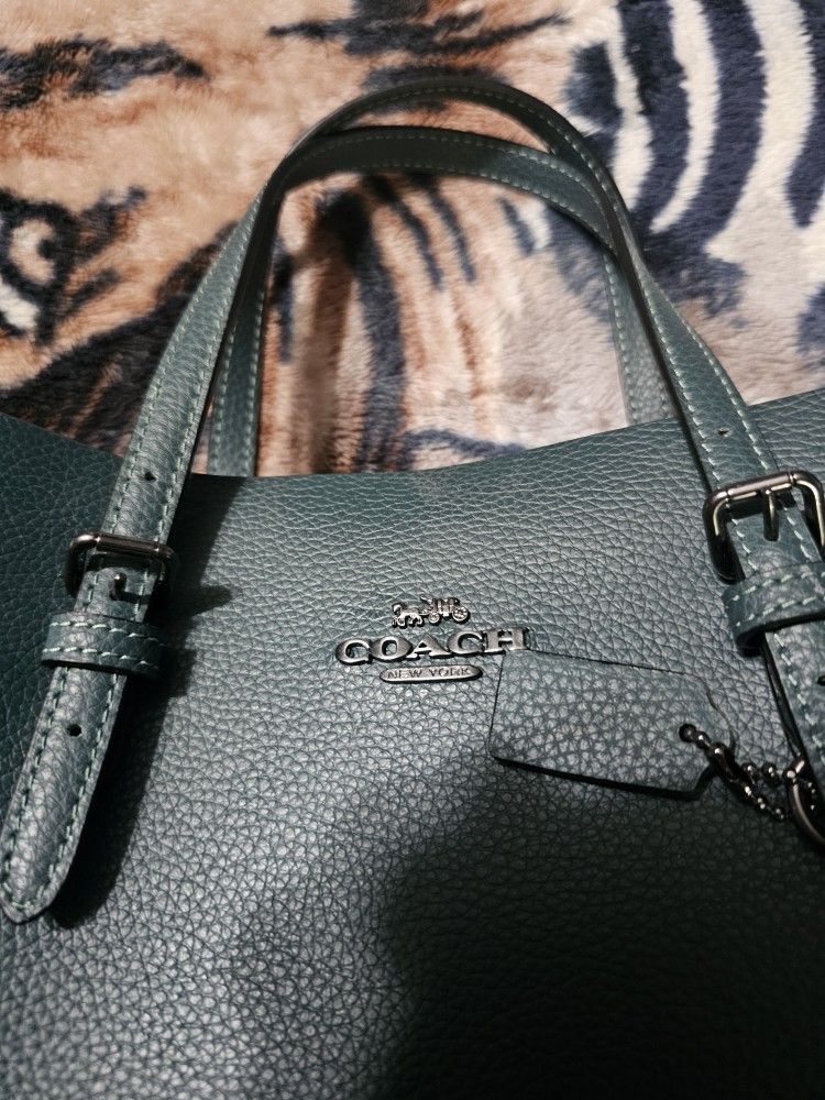 Authenticate Coah Bag