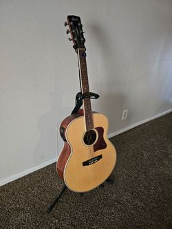 Cort guitar
