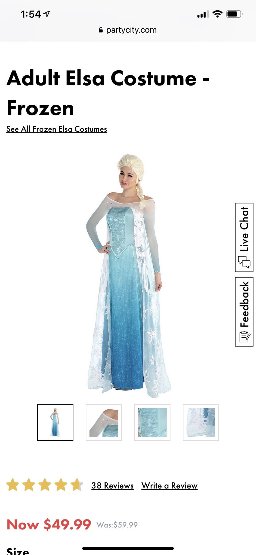 Adult Elsa costume