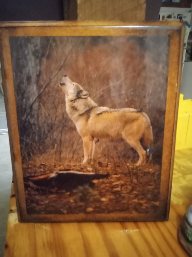 Gray Wolf Lithograph Print 