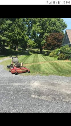 Grass cut