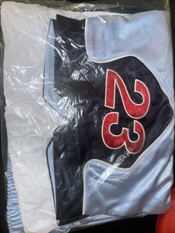 Supreme X Jordan Shorts