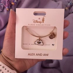 Alex And Ani Bracelet 
