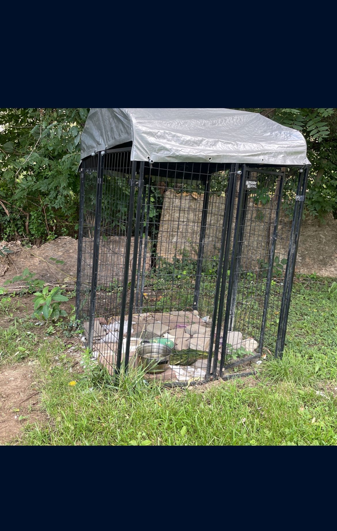 Outside Cage