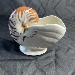 Tiki Mug Nautilus Shell