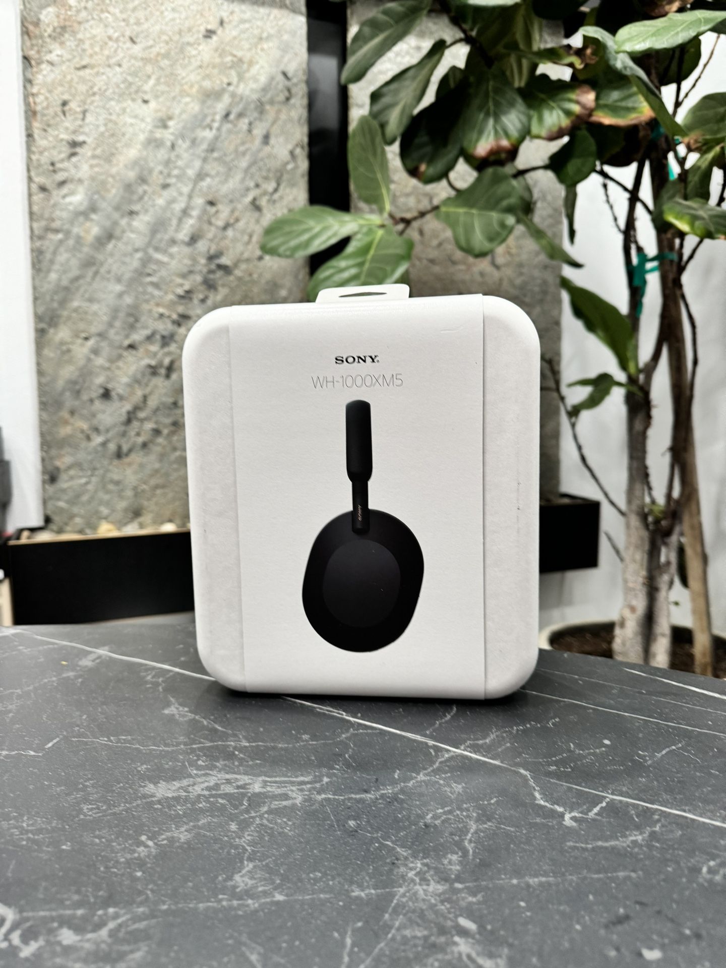 Sony Xm5 Headphones